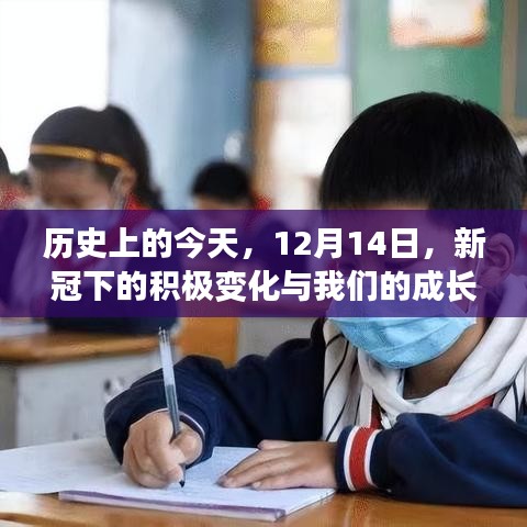 12月14日历史回顾，新冠下的积极变化与成长之路