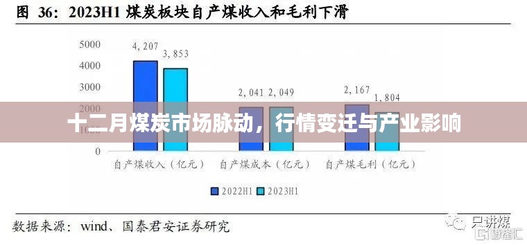 十二月煤炭市场脉动，行情变迁与产业深度影响