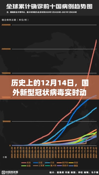 国外新型冠状病毒实时动态回顾与洞察，历史上的十二月十四日观察报告