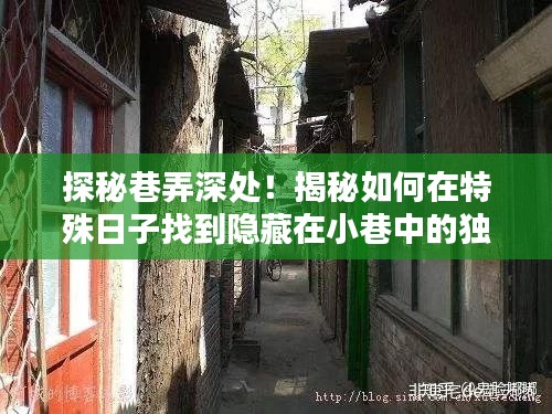 探秘巷弄深处，发现隐藏小巷的独特小店之旅