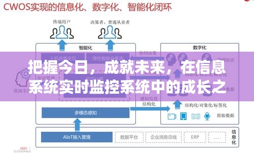 实时监控系统下的成长之旅，把握今日，成就未来