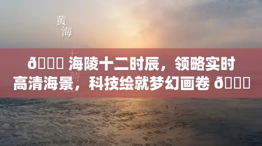 海陵十二时辰，实时高清海景与科技的梦幻交融