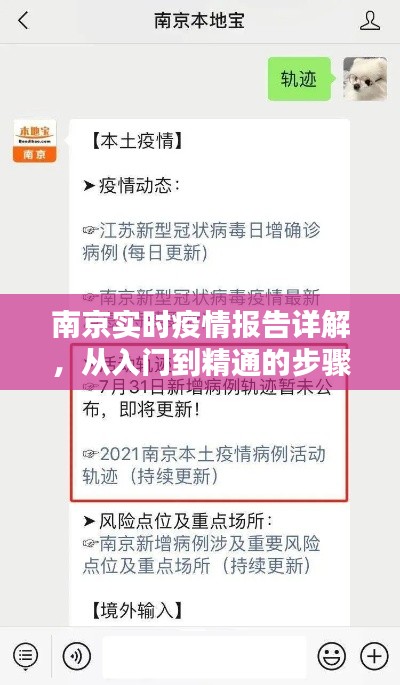 南京实时疫情报告详解，入门到精通的指南（适合初学者与进阶用户）