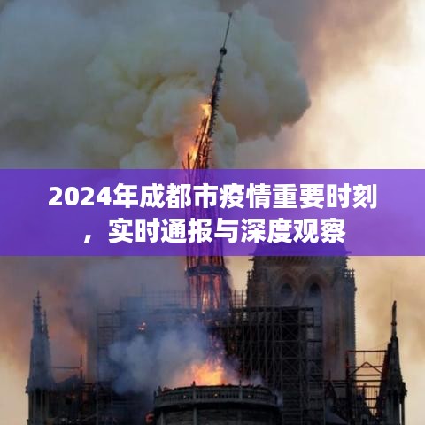 2024年成都市疫情实时通报与深度观察，关键时期的抗疫进展