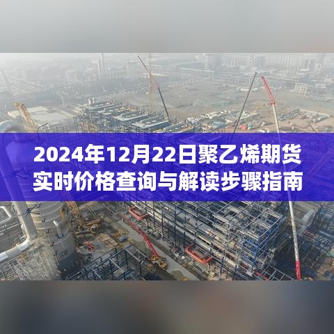 初学者与进阶用户必备的聚乙烯期货实时价格查询与解读指南（2024年12月版）