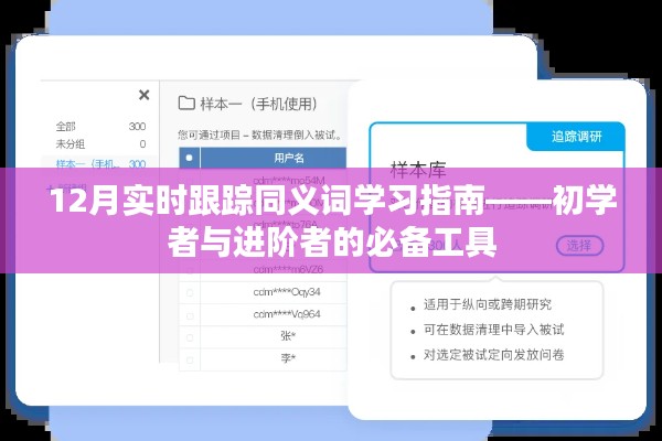 12月实时跟踪同义词学习指南，初学者与进阶者的必备工具全解析