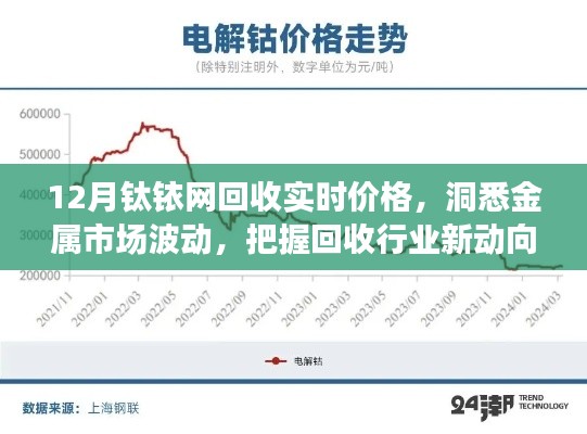 12月钛铱网回收价格解析，洞悉金属市场动态，掌握回收行业趋势