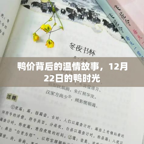 鸭价背后的温情故事，12月22日的鸭子时光