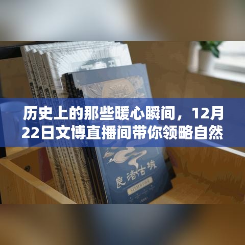 文博直播间，历史暖心瞬间与自然之美的交汇点（12月22日）