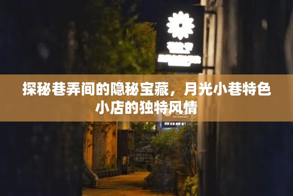 探秘月光小巷，巷弄隐秘宝藏与特色小店的独特风情