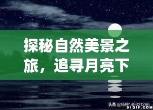 探秘自然美景之旅，月下宁静与技能培训热潮的探索