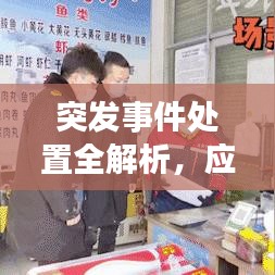 突发事件处置全解析，应对策略与行动指南