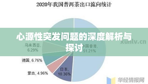 心源性突发问题的深度解析与探讨