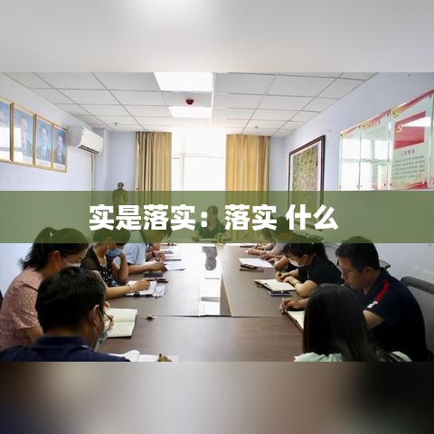 实是落实：落实 什么 