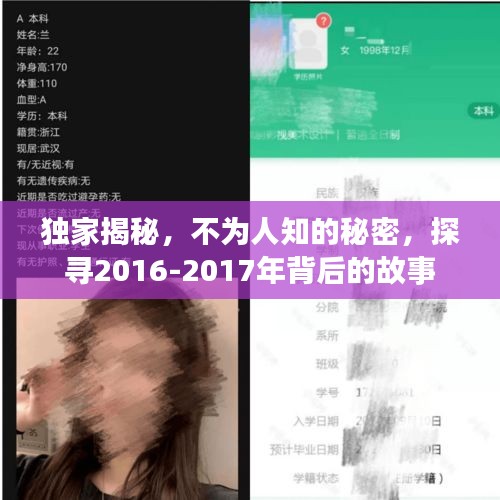 独家揭秘，不为人知的秘密，探寻2016-2017年背后的故事