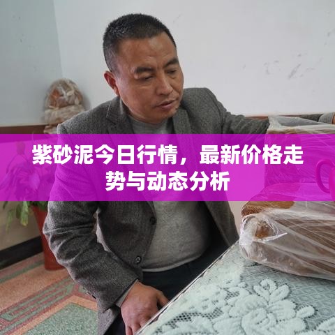 紫砂泥今日行情，最新价格走势与动态分析