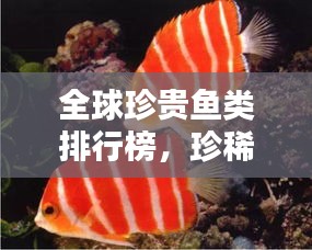 全球珍贵鱼类排行榜，珍稀贵鱼一览