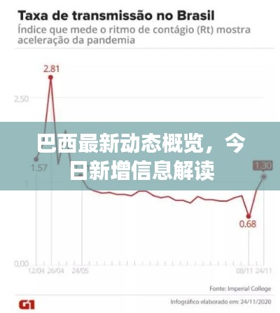 巴西最新动态概览，今日新增信息解读