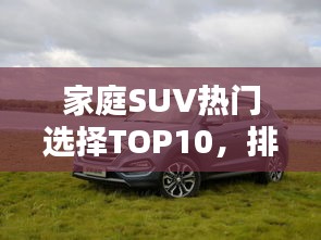 家庭SUV热门选择TOP10，排名与特点一网打尽