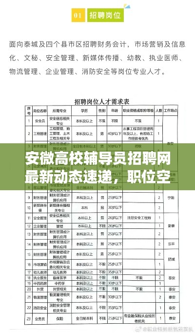 安微高校辅导员招聘网最新动态速递，职位空缺与要求全解析