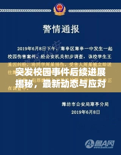 突发校园事件后续进展揭秘，最新动态与应对措施一网打尽！