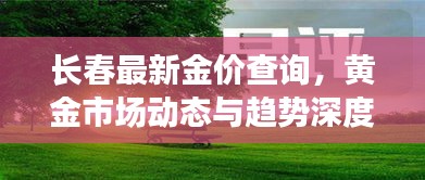 长春最新金价查询，黄金市场动态与趋势深度解析