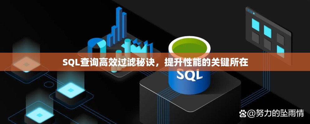 SQL查询高效过滤秘诀，提升性能的关键所在