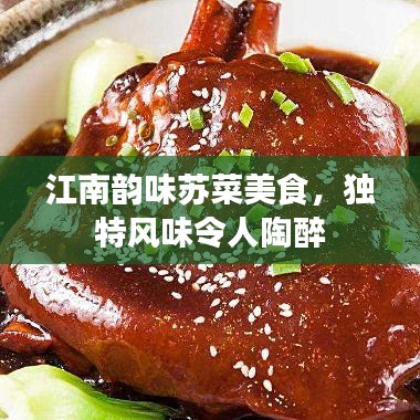 江南韵味苏菜美食，独特风味令人陶醉