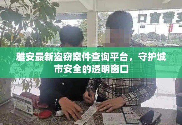 雅安最新盗窃案件查询平台，守护城市安全的透明窗口