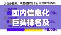 国内信息化巨头排名及影响力深度解析