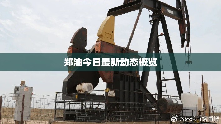 郑油今日最新动态概览
