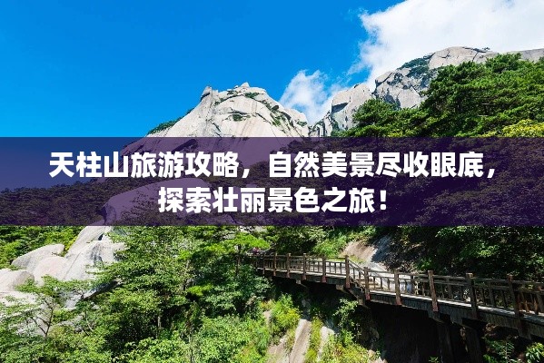 天柱山旅游攻略，自然美景尽收眼底，探索壮丽景色之旅！
