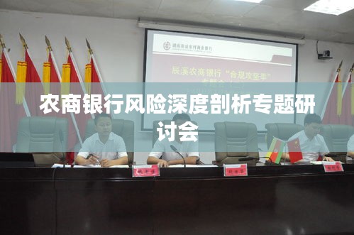 农商银行风险深度剖析专题研讨会