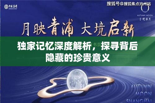 独家记忆深度解析，探寻背后隐藏的珍贵意义