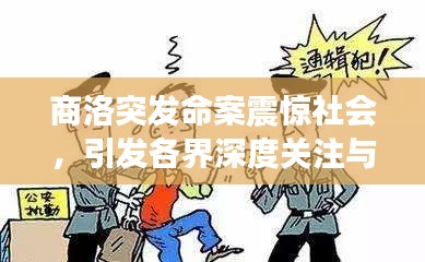 商洛突发命案震惊社会，引发各界深度关注与思考