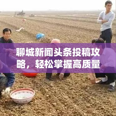 聊城新闻头条投稿攻略，轻松掌握高质量内容发布技巧