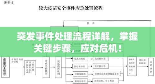 突发事件处理流程详解，掌握关键步骤，应对危机！
