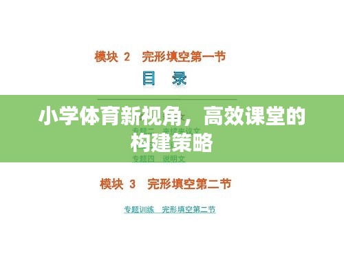 小学体育新视角，高效课堂的构建策略