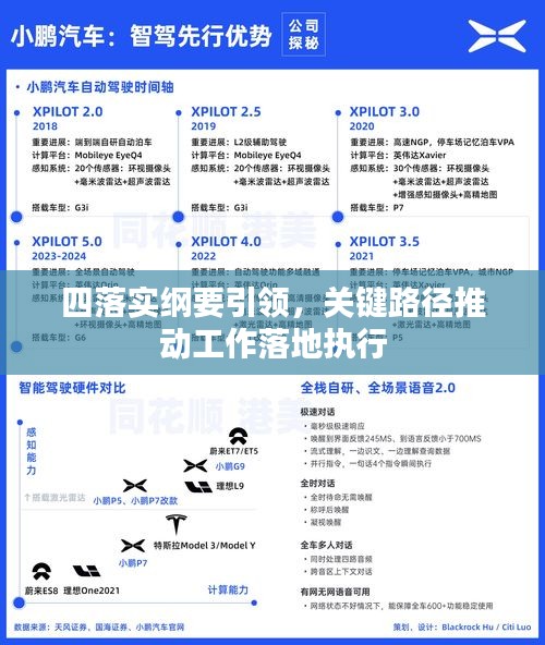 四落实纲要引领，关键路径推动工作落地执行