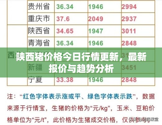 陕西猪价格今日行情更新，最新报价与趋势分析