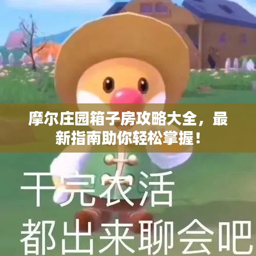 摩尔庄园箱子房攻略大全，最新指南助你轻松掌握！