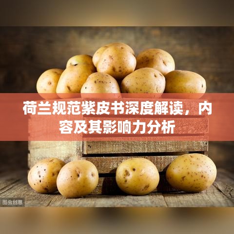 荷兰规范紫皮书深度解读，内容及其影响力分析