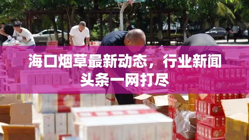 海口烟草最新动态，行业新闻头条一网打尽