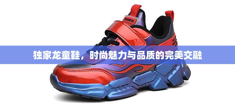 独家龙童鞋，时尚魅力与品质的完美交融
