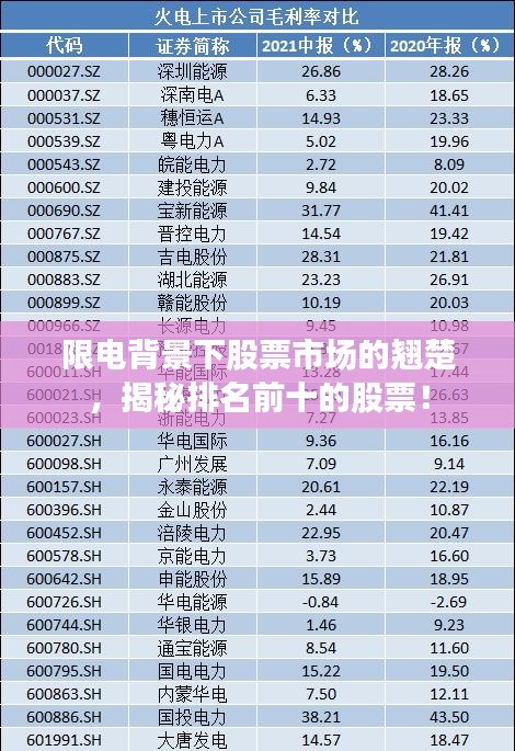 限电背景下股票市场的翘楚，揭秘排名前十的股票！