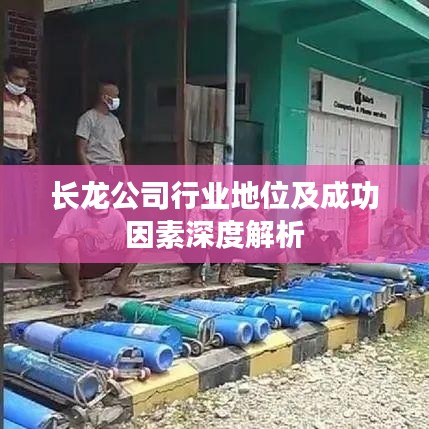 长龙公司行业地位及成功因素深度解析