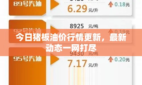 今日猪板油价行情更新，最新动态一网打尽