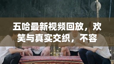 五哈最新视频回放，欢笑与真实交织，不容错过！