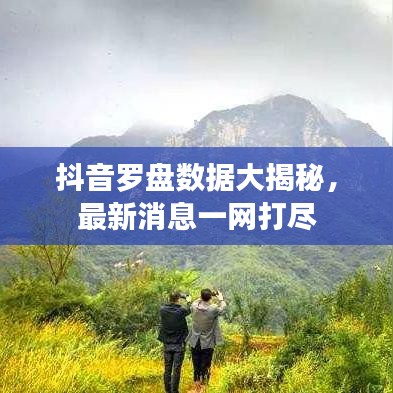 抖音罗盘数据大揭秘，最新消息一网打尽