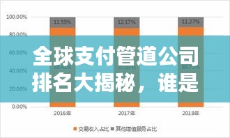 全球支付管道公司排名大揭秘，谁是行业巨头？